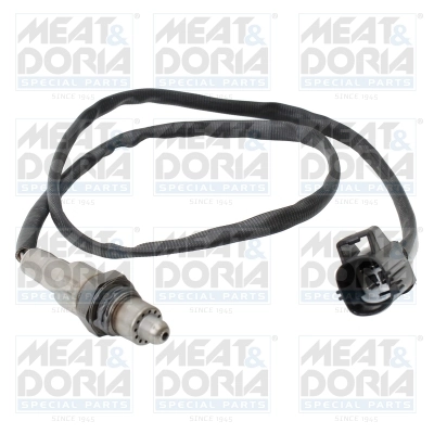 Oxygen Sensor